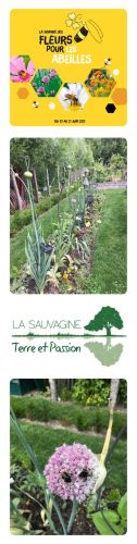 La Sauvagine Terre et Passion®